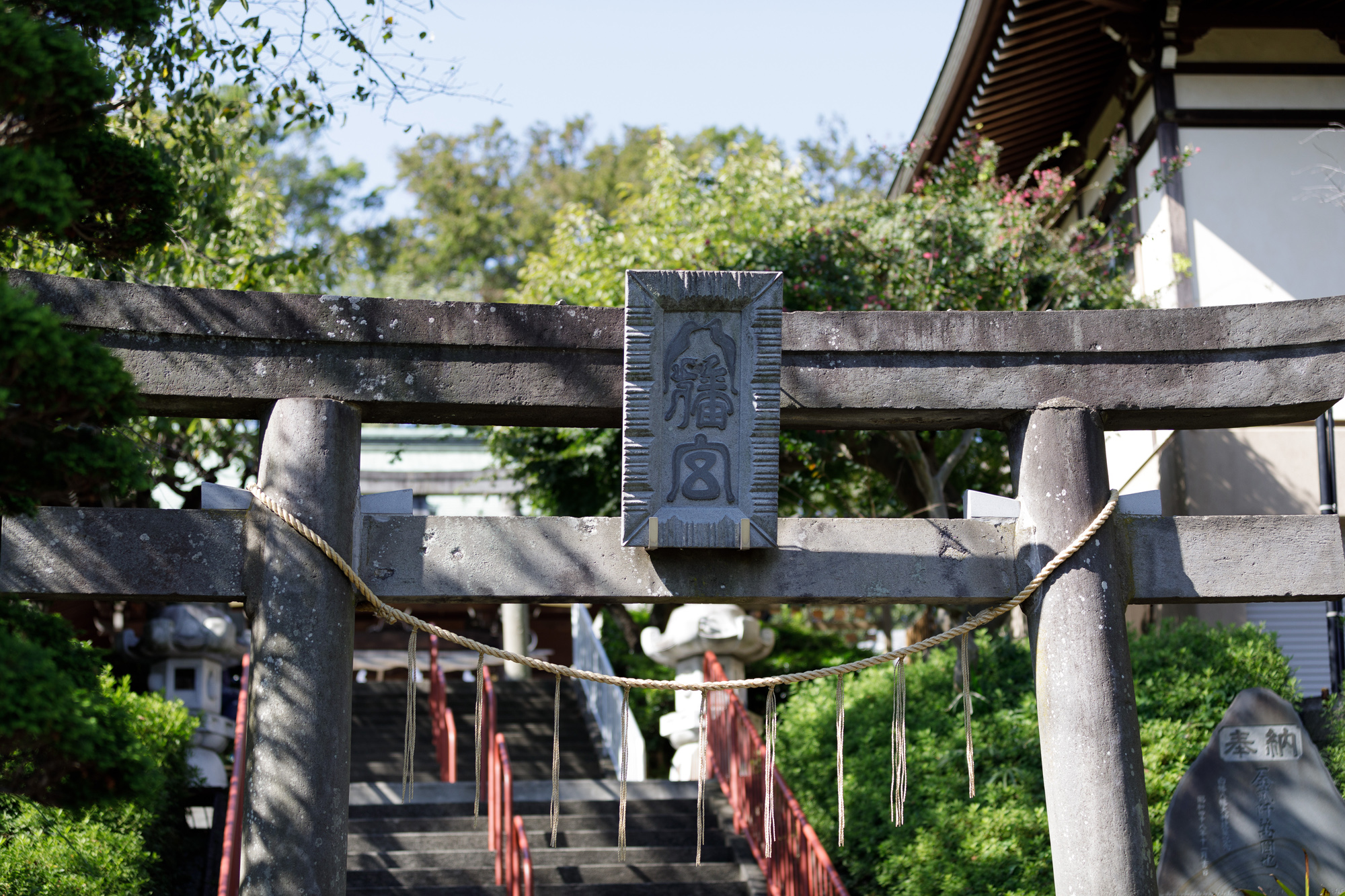 神社での撮影でご予約をお考えの方へ Miyukiogura 出張カメラマン